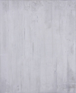 <p>Untitled (Monochrom weiss)<br /><br />2008<br />Oil on canvas<br />110 x 90 x 2 cm</p>